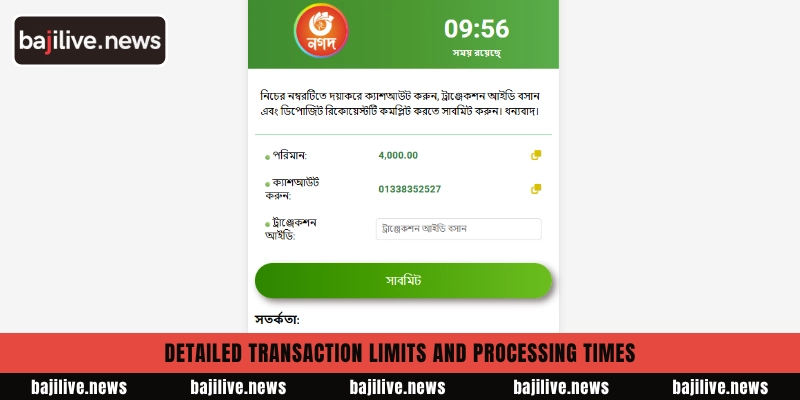 Review payment bKash Nagad 5 Detailed transaction limits and processing times